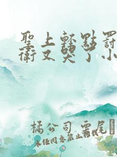 圣上轻点罚,暗卫又哭了小说