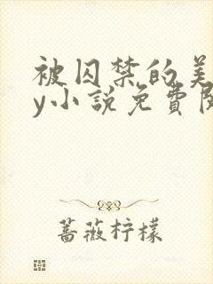 被囚禁的美人by小说免费阅读