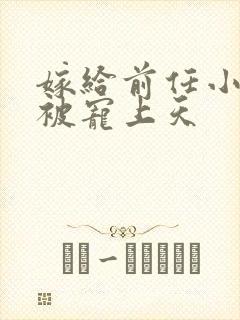 嫁给前任小叔后被宠上天