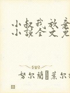 小叔我放弃你了小说全文免费阅读