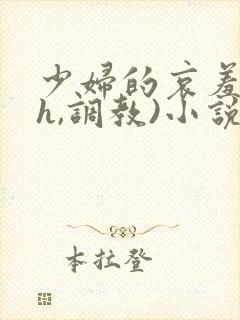 少妇的哀羞(高h,调教)小说