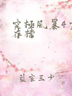 究极风暴4完美存档