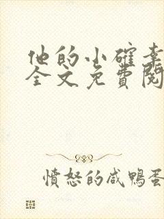 他的小确幸小说全文免费阅读