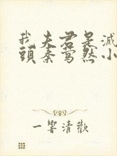 我夫君是灭世魔头秦莺然小说全文