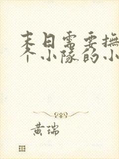 末日需要抚慰整个小队的小说