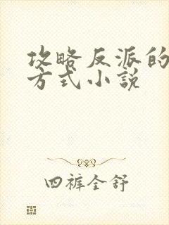 攻略反派的正确方式小说