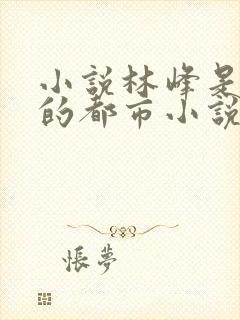 小说林峰是主角的都市小说
