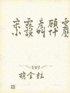 宋霖彦顾云舒的小说叫什么