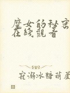 魔女的秘密契约在线观看