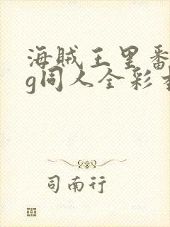 海贼王里番acg同人全彩本子