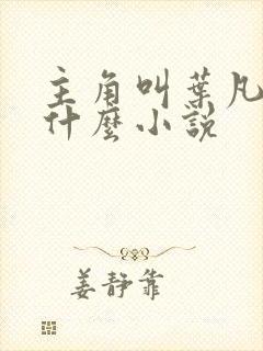 主角叫叶凡的是什么小说