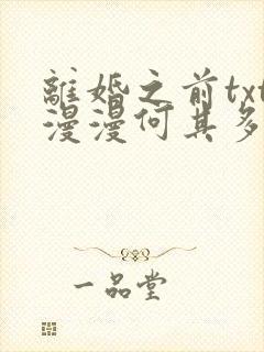 离婚之前txt漫漫何其多