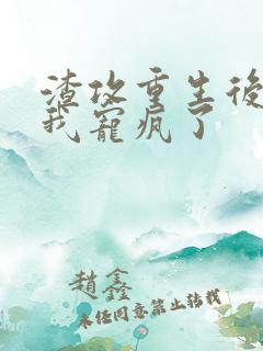 渣攻重生后,把我宠疯了