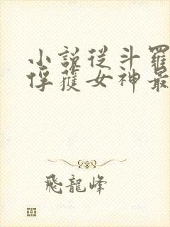 小说从斗罗开始俘获女神最新章节列表