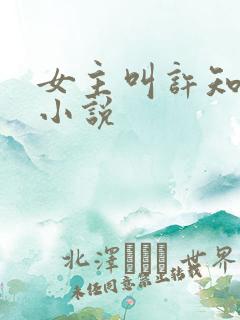 女主叫许知夏的小说