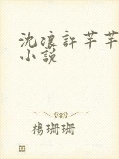 沈浪许芊芊穿越小说