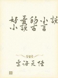 好看的小说言情小说古言