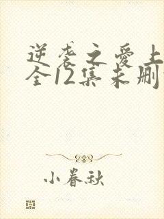 逆袭之爱上情敌全12集未删减