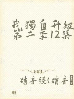 我独自升级动漫第二季12集