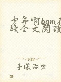 少年啊bgm在线全文阅读