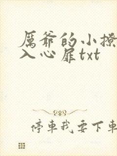 厉爷的小撩精甜入心扉txt