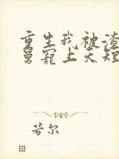 重生我被渣男舅舅宠上天短剧