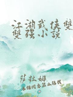 江湖武侠双男主双强小说