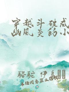 穿越斗破成为九幽风炎的小说