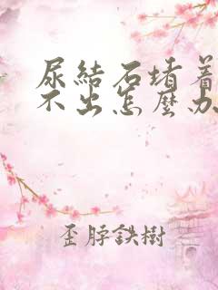 尿结石堵着尿排不出怎么办