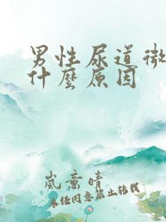 男性尿道微疼是什么原因