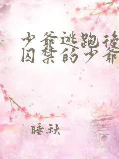 少爷逃跑后,被囚禁的少爷小说