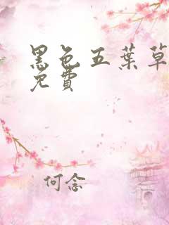 黑色五叶草动画免费