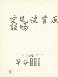 定风波有原著小说吗