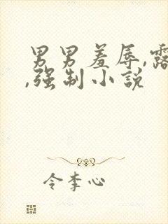 男男羞辱,露出,强制小说