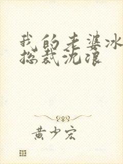 我的老婆冰山女总裁沈浪