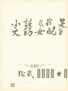 小说《我是限制文的女配》