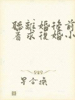 听离婚后前夫哭着求复婚小说