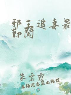 邪王追妻最新章节阅