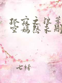 孤寂之狼叶凡司空嫣然未删减txt