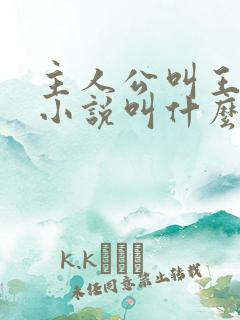 主人公叫王峰的小说叫什么名字