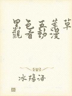 黑色五叶草免费观看动漫