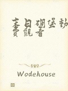 末日碉堡动漫免费观看