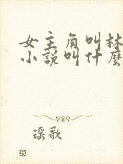 女主角叫林晚的小说叫什么名字