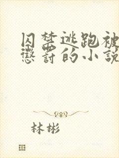 囚禁逃跑被抓回惩罚的小说