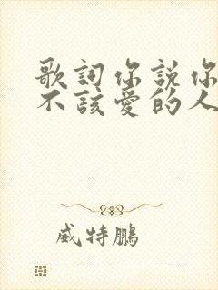 歌词你说你爱了不该爱的人是什么歌