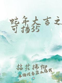 蛇年大吉之婚不可挡35