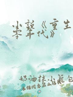 小说《重生之九零年代》