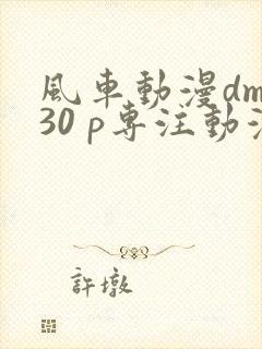 风车动漫dm530 p专注动漫的门户网站