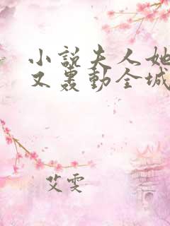 小说夫人她马甲又轰动全城了灵小哥无弹窗