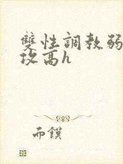 双性调教弱攻虐攻高h